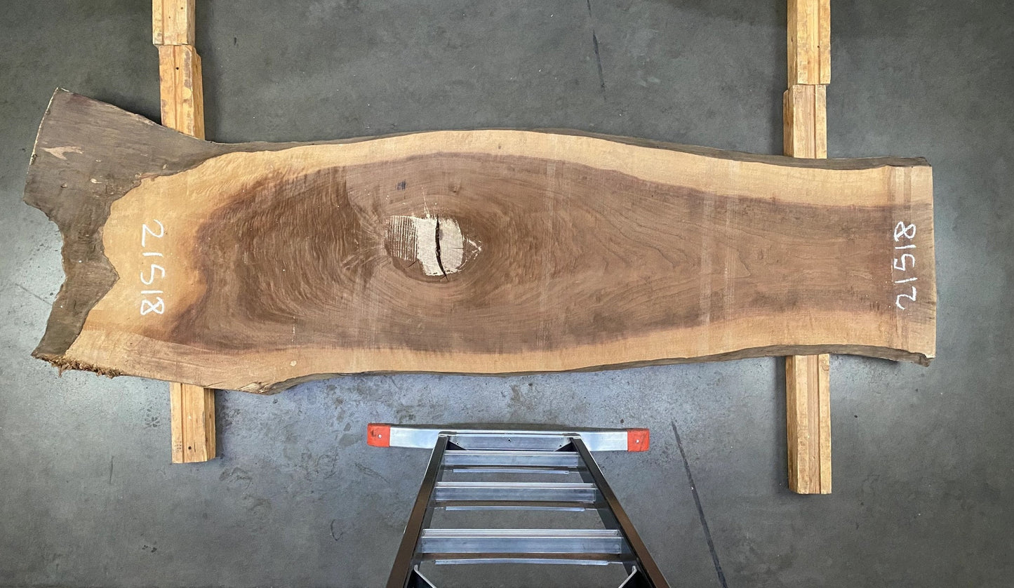 Live Edge American Walnut and Metal Bed - Made to Order
