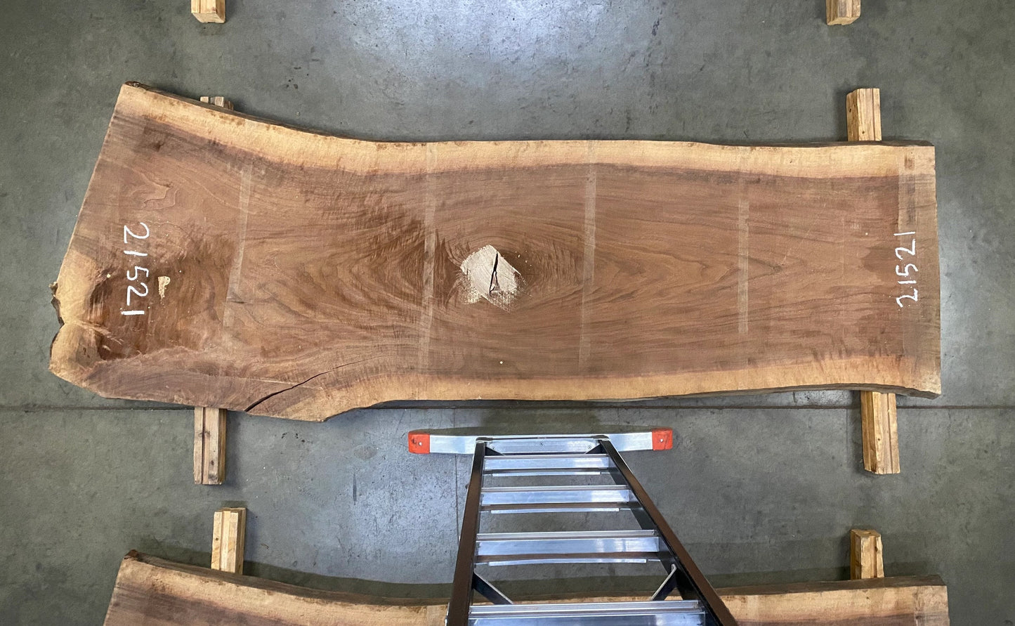 Live Edge American Walnut and Metal Bed - Made to Order