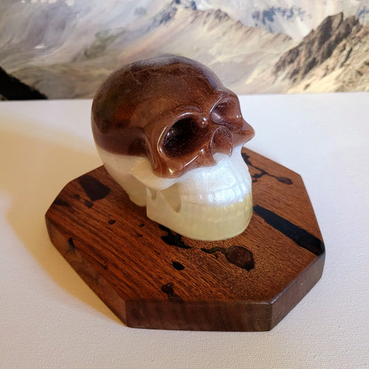 Halloween Decor - Mahogany & Pure White Skull